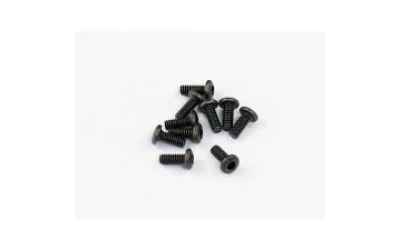 roche viti testa a bottone M2x5mm (10)