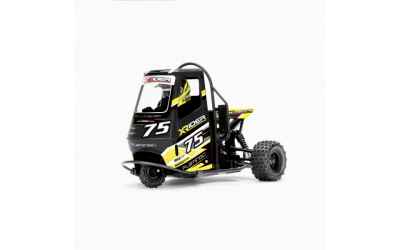 robitronic X-Rider Flamingo Tricycle RTR nero