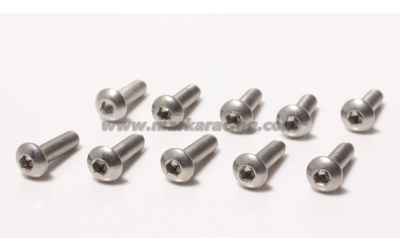 marka set viti acciaio inox (10pz) M3x14mm testa a bottone