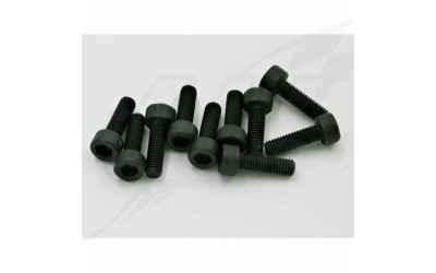 blackbull set viti testa cilindrica 3x10mm